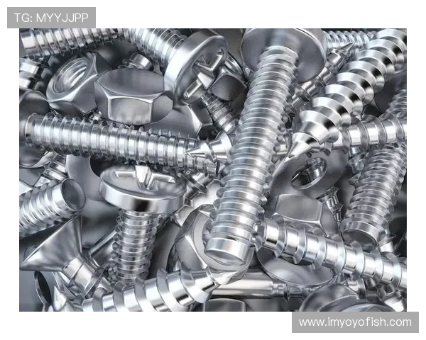 从零起步打造高效网球团队协作的全面指南与实用技巧