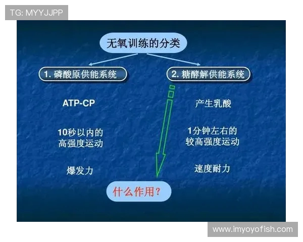 北京羽毛球队整体压制战术解析与实战应用探讨 北京羽毛球队整体压制战术解析与实战应用探讨
