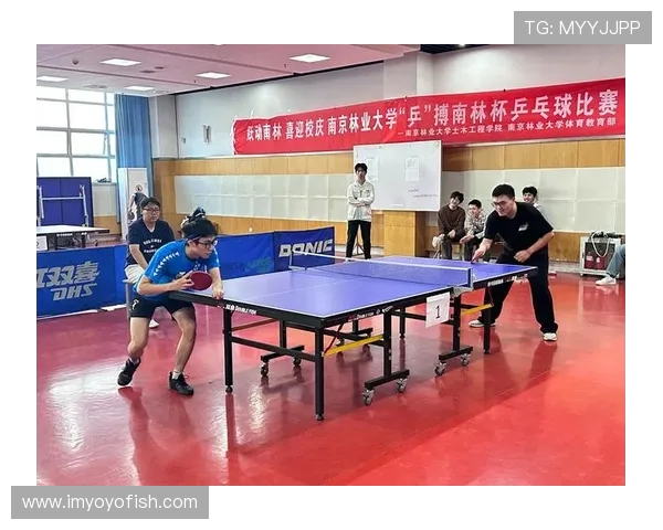 南京乒乓球队的逆袭之路：从默默无闻到荣耀巅峰的奋斗纪实