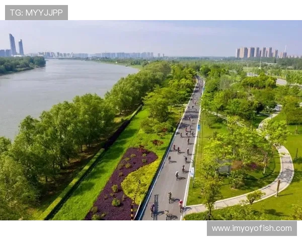 南京攀岩队在城市马拉松中的战术表现与策略分析