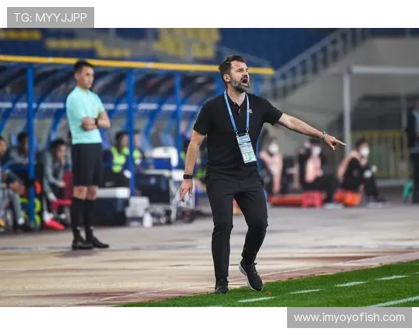 深入分析上海足球队阵地战战术特点与执行策略