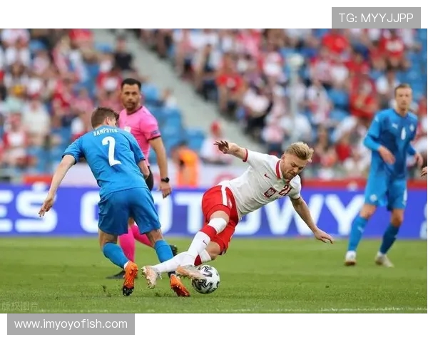 波兰与亚美尼亚精彩对决集锦回顾及精彩瞬间分析