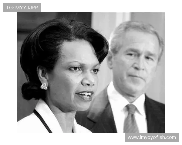 赖斯的外交策略与全球影响力分析及其在国际关系中的重要角色