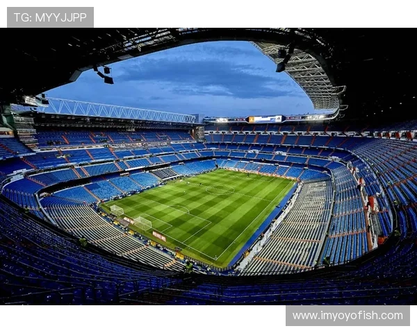 黄丽独家揭秘足球技巧与战术分享助你提升球场表现