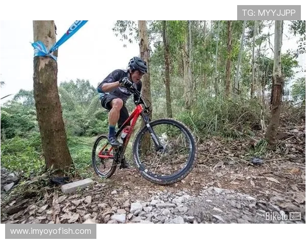 极限运动的魅力与策略：深入分析杭州极限运动队的战术与训练秘诀