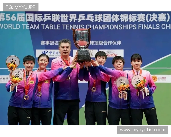 西安乒乓球队精英赛表现分析团队协作的重要性与亮点