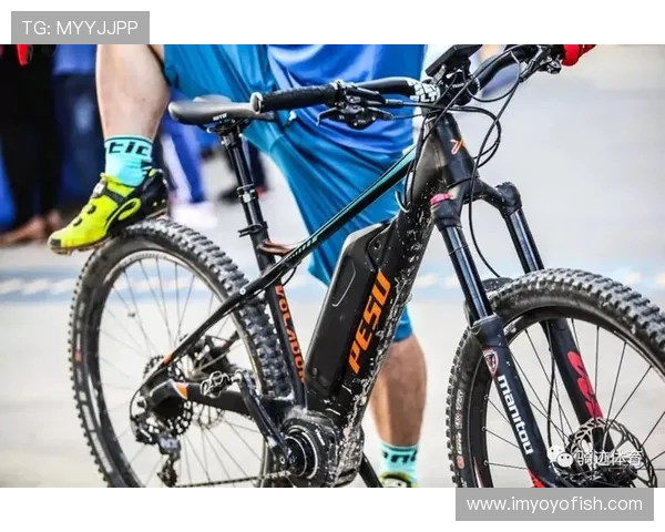 TES在国际邀请赛中的实力展现与战术分析全面解读 TES在国际邀请赛中的实力展现与战术分析全面解读