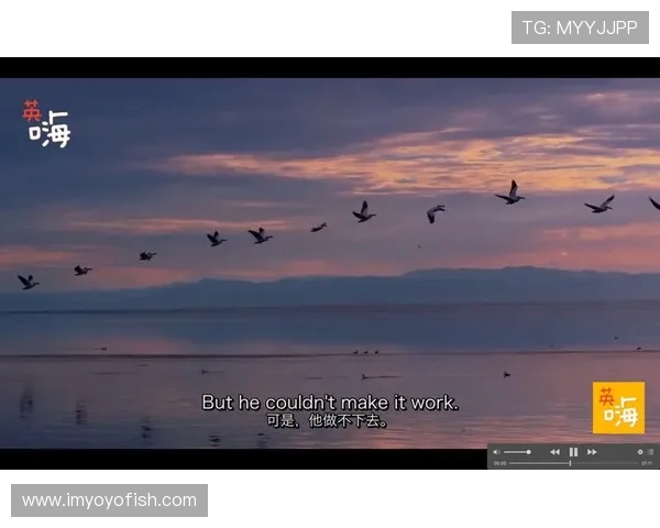 张强的网球人生：从青涩少年到职业选手的深度对话与成长故事