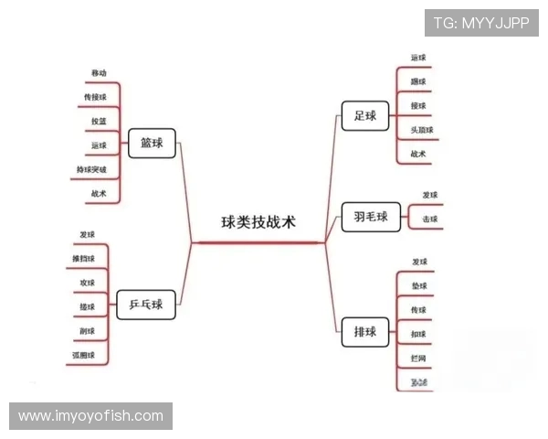 成都篮球队战术解析与未来发展展望的深度探讨
